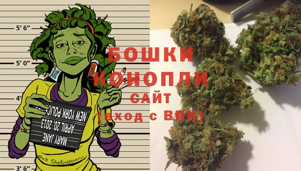 прущие грибы Абдулино