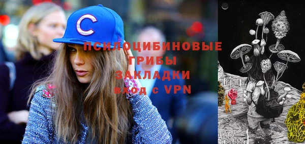 прущие грибы Абдулино