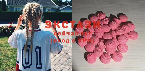 индика Покачи