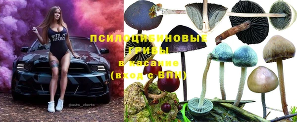 прущие грибы Абдулино
