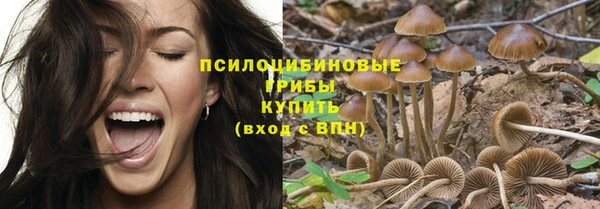 эйфоретик Покров